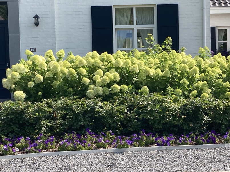 tuin betonklinkers oprit zwembad tuin