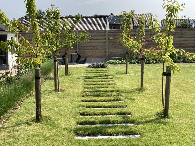 tuin betonklinkers oprit zwembad tuin