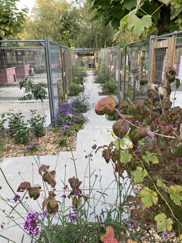 tuin betonklinkers oprit zwembad tuin