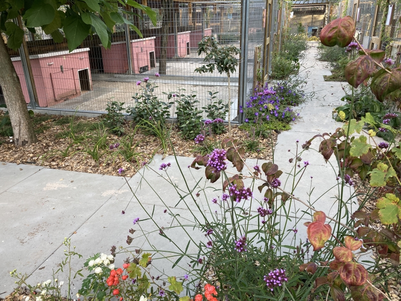 tuin betonklinkers oprit zwembad tuin