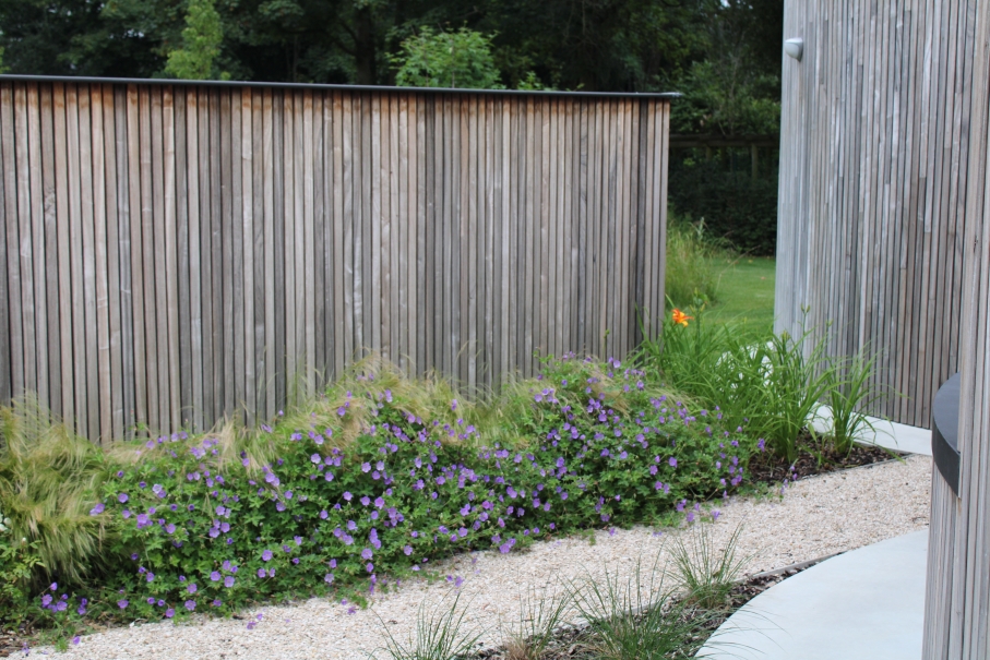 tuin betonklinkers oprit zwembad tuin