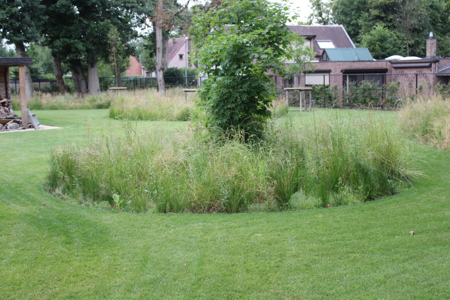 tuin betonklinkers oprit zwembad tuin