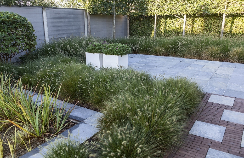 tuin betonklinkers oprit zwembad tuin