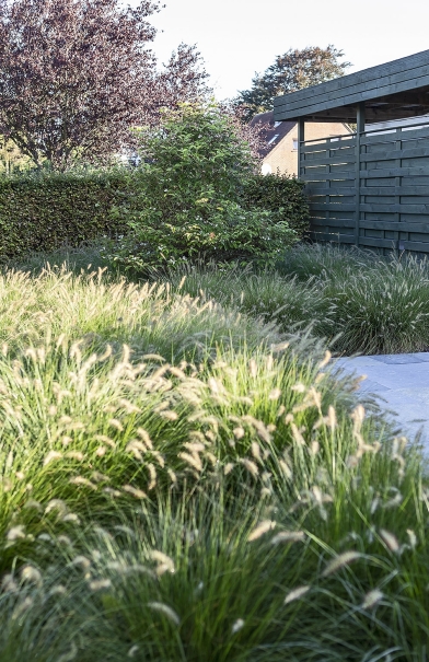 tuin betonklinkers oprit zwembad tuin