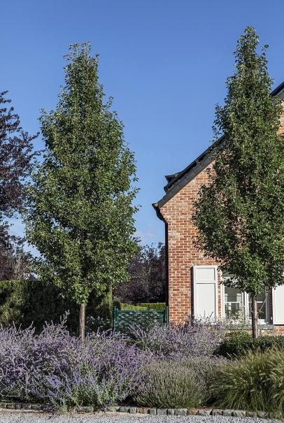 tuin betonklinkers oprit zwembad tuin