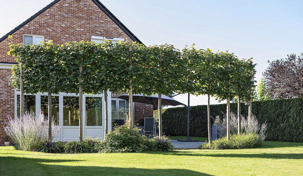 tuin betonklinkers oprit zwembad tuin