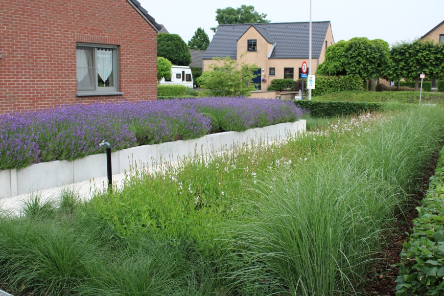 tuin betonklinkers oprit zwembad tuin