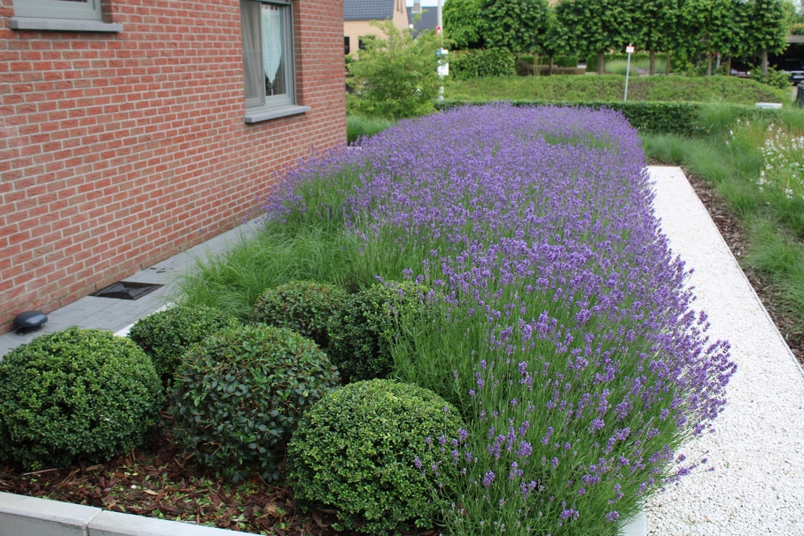 tuin betonklinkers oprit zwembad tuin