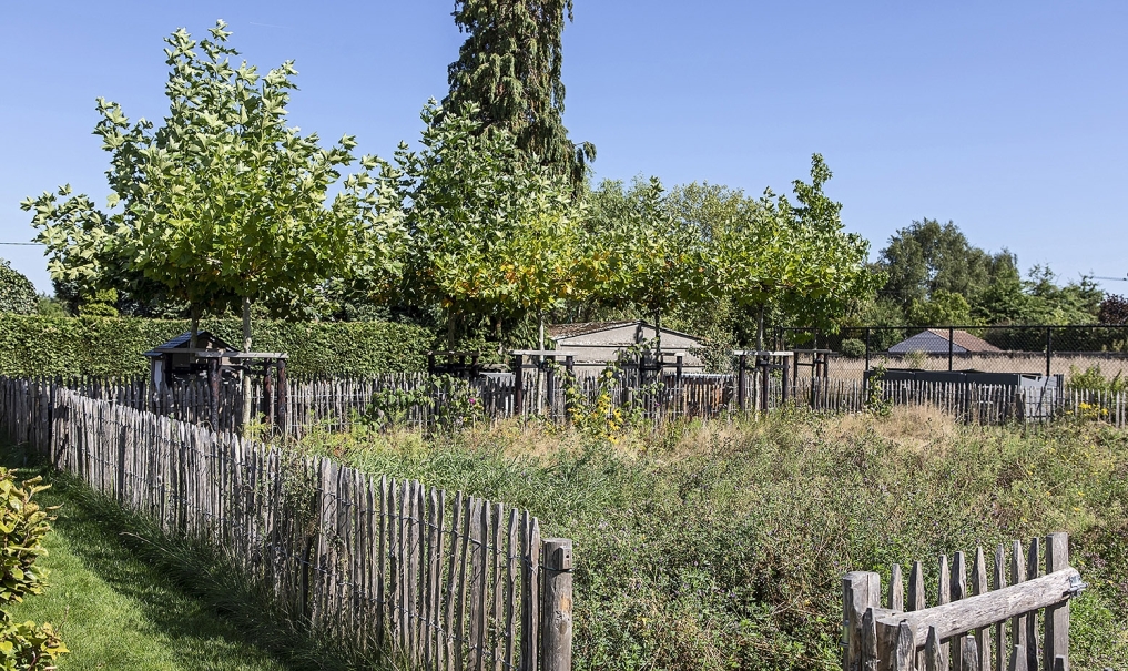 tuin betonklinkers oprit zwembad tuin