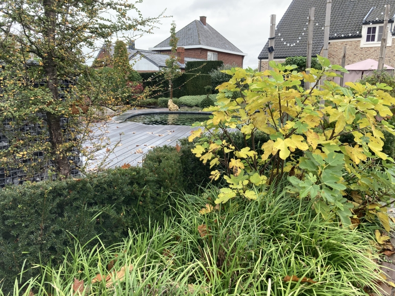tuin betonklinkers oprit zwembad tuin