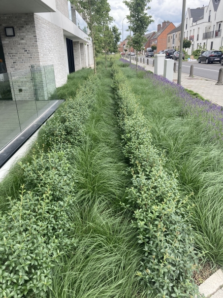 tuin betonklinkers oprit zwembad tuin