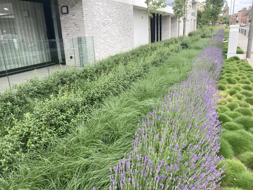 tuin betonklinkers oprit zwembad tuin