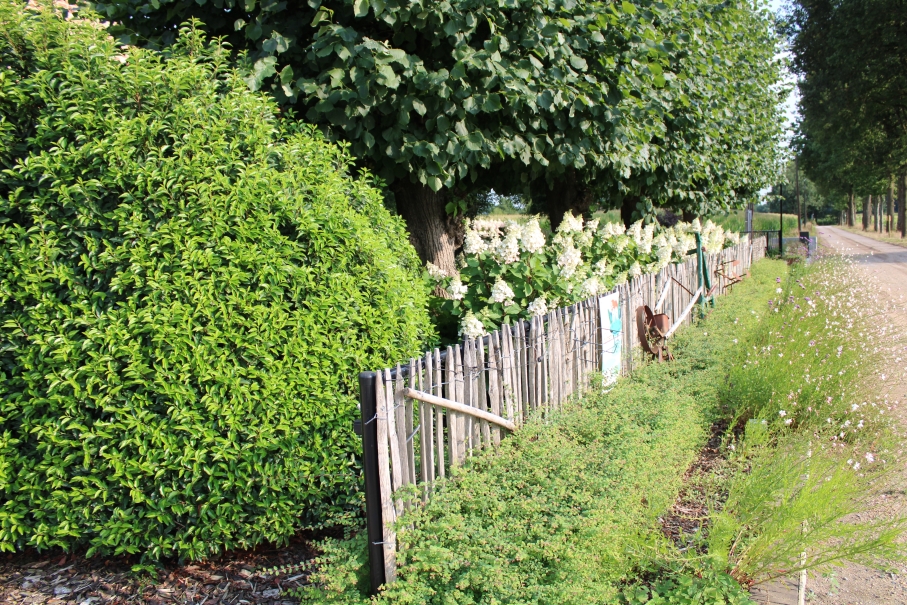 tuin betonklinkers oprit zwembad tuin