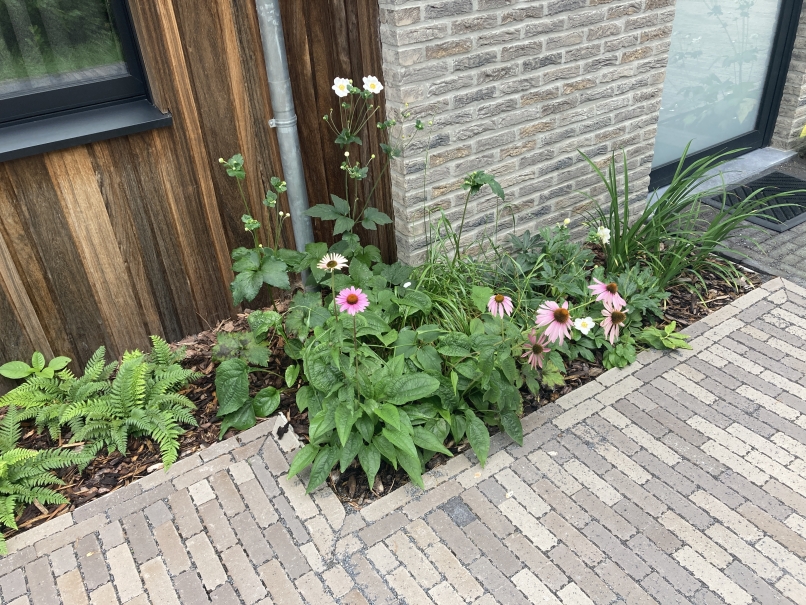 tuin betonklinkers oprit zwembad tuin