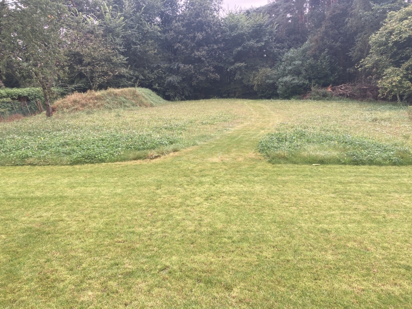 tuin betonklinkers oprit zwembad tuin